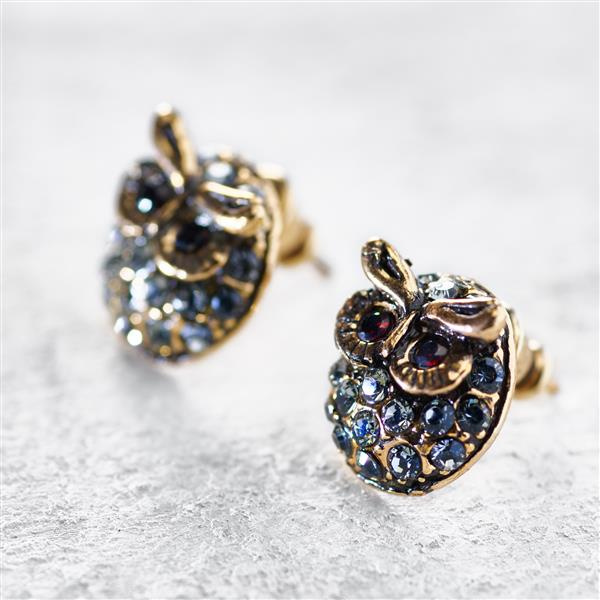 The Owl's Wisdom. Small earrings